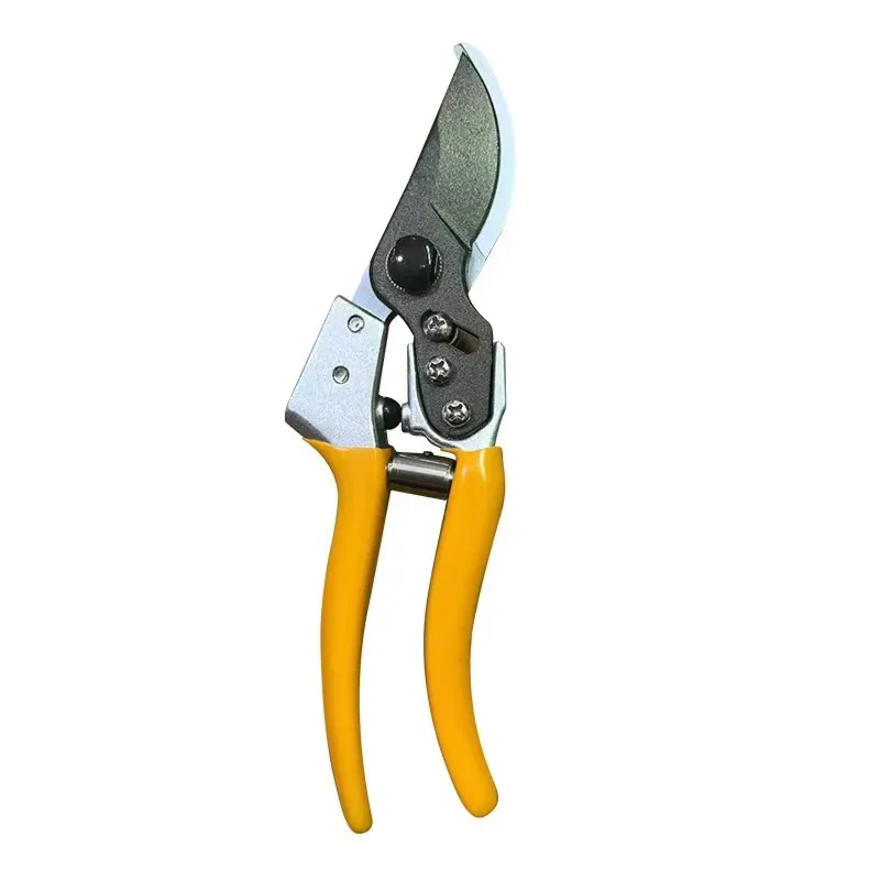 Pruning Shears Detail 1