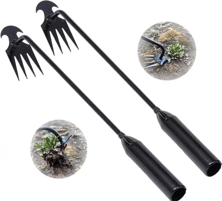 Ds-3422 2 Inch 2024 New Weed Pulling Tool 4 Teeth Black Painted Hand Weeder Efficient Weed Cleanup Tool Garden Weeding Tool Garden Hoe Factory Price