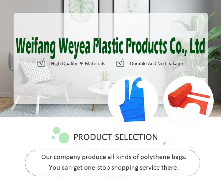 Disposable PE Apron Overview