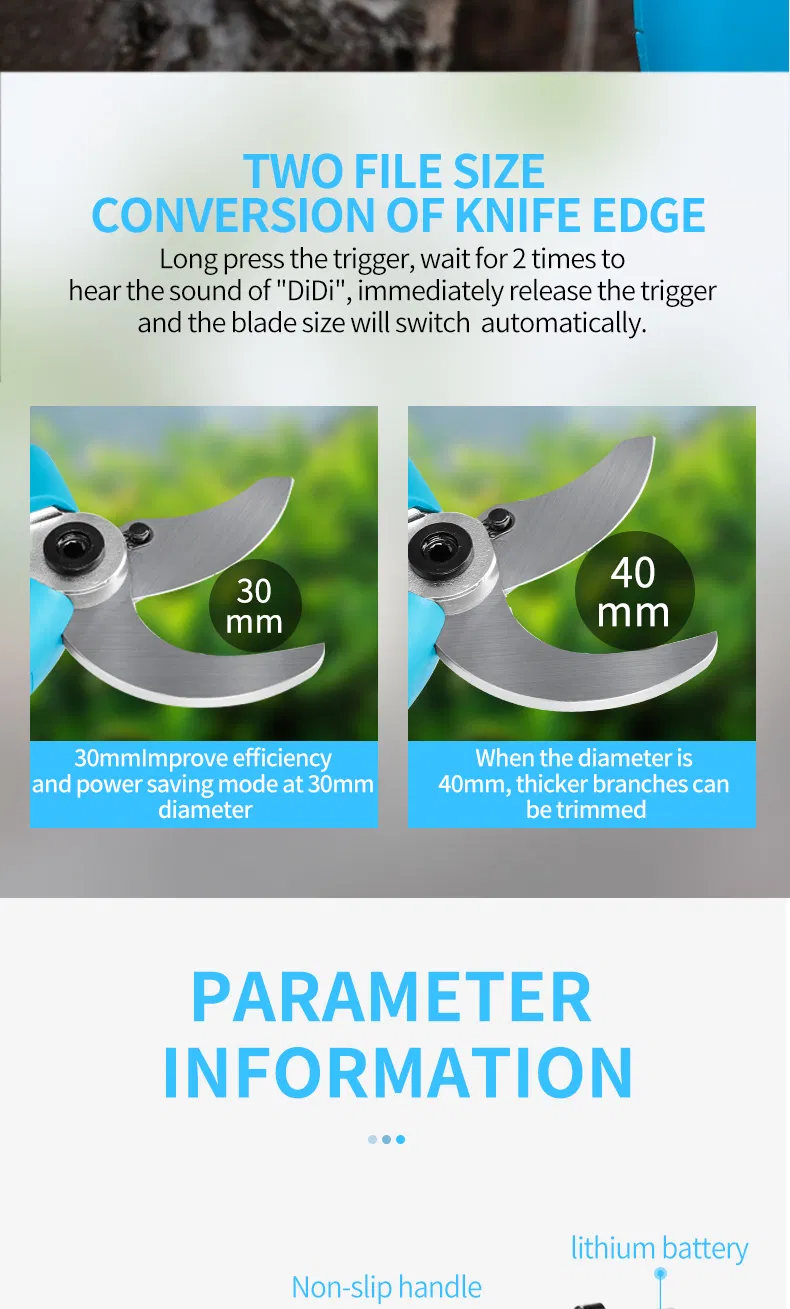 Pruning Shears Display 11