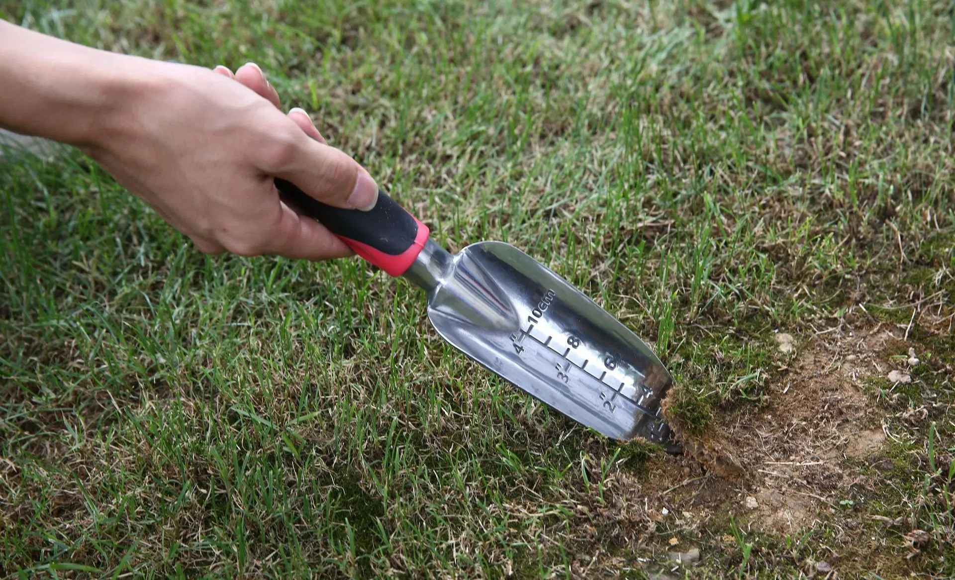 Garden Rake & Trowel Overview