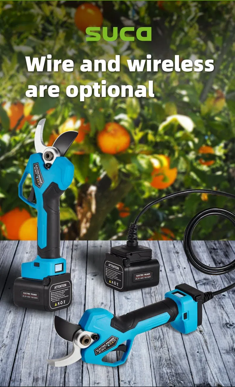 Pruning Shears Display 3