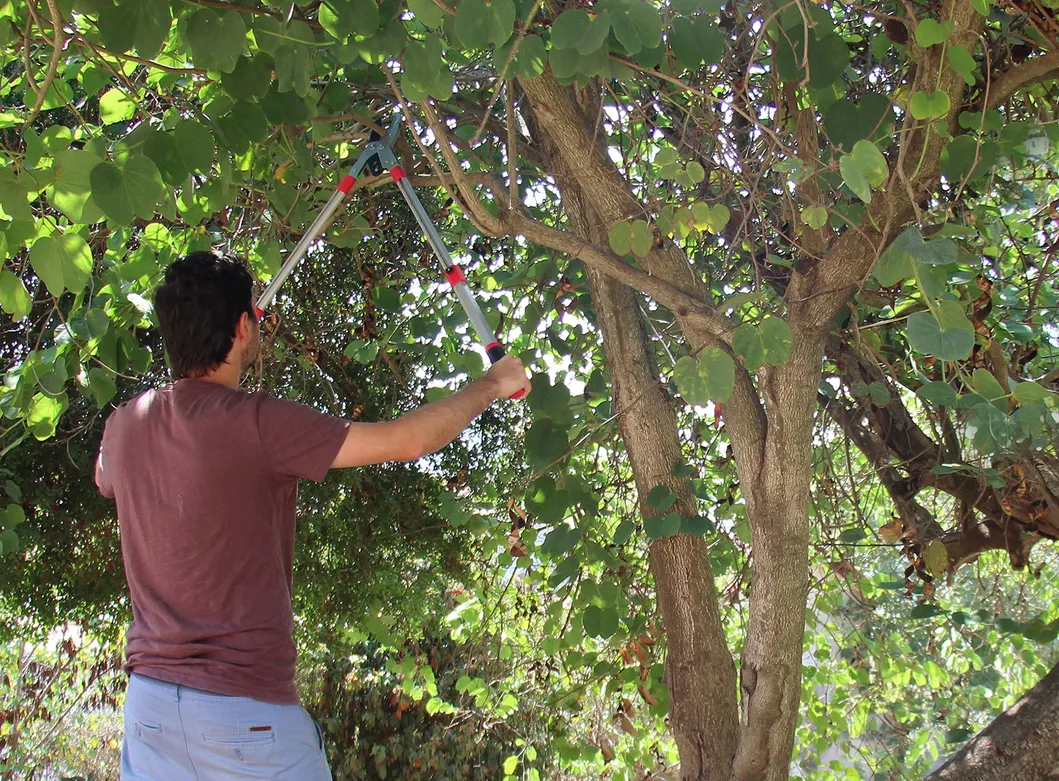 Telescopic Garden Lopper