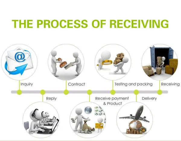 Our Service Excellence