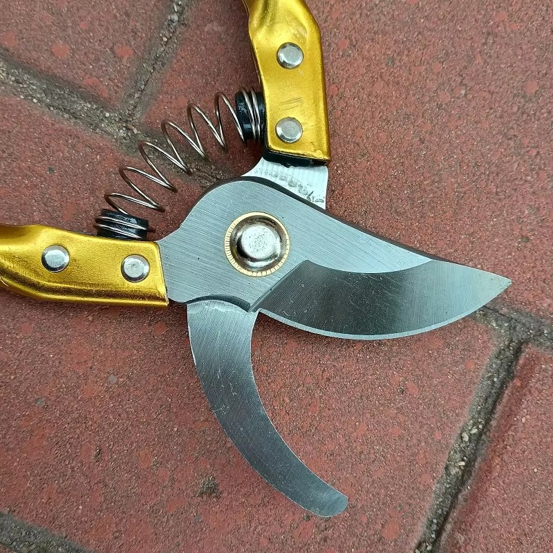 Professional Pruning Shears Garden Tools for Pruning Flower Fruit Tree