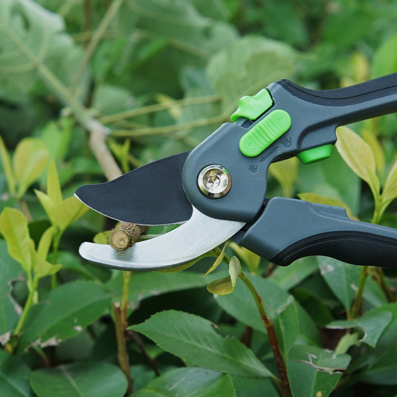 Premium Sk5 Blade Gardening Shears for Fruit Trees Pruning