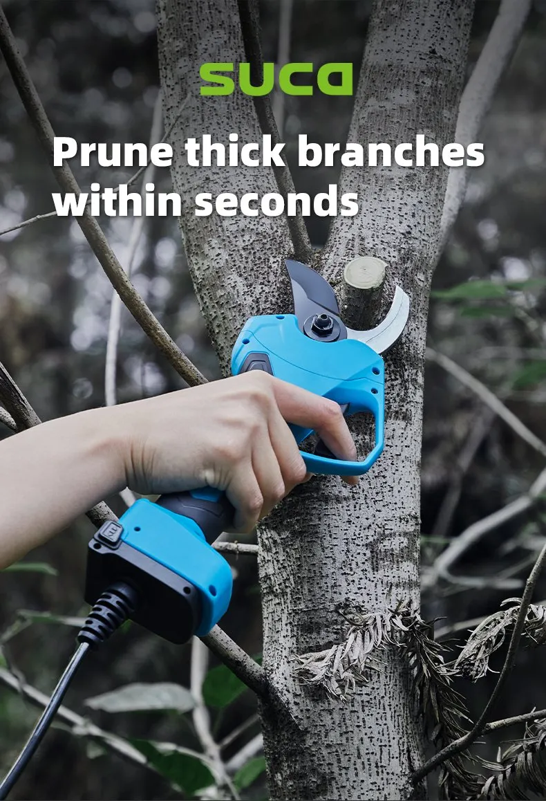 Pruning Shears Display 7