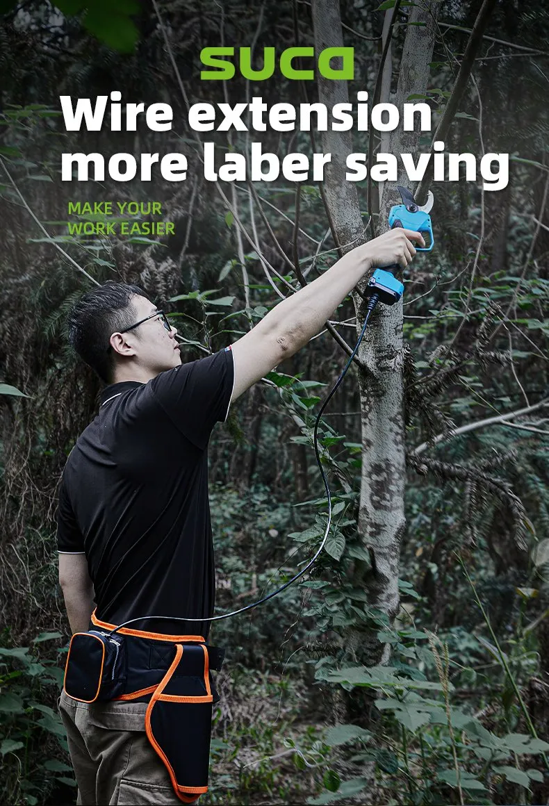 Pruning Shears Display 4