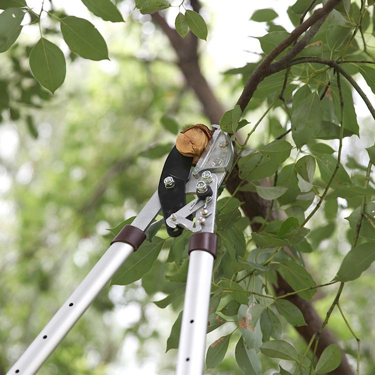 Heavy Dute Tree Pruning Thick Branches Cut Long Gardening Scissors Telescopic Pruner Lopper with Long Adjustable Aluminium Handle