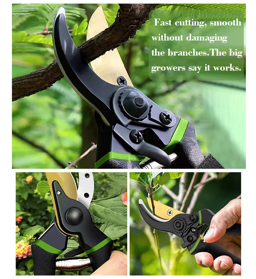 Pruning Shears Detail 8