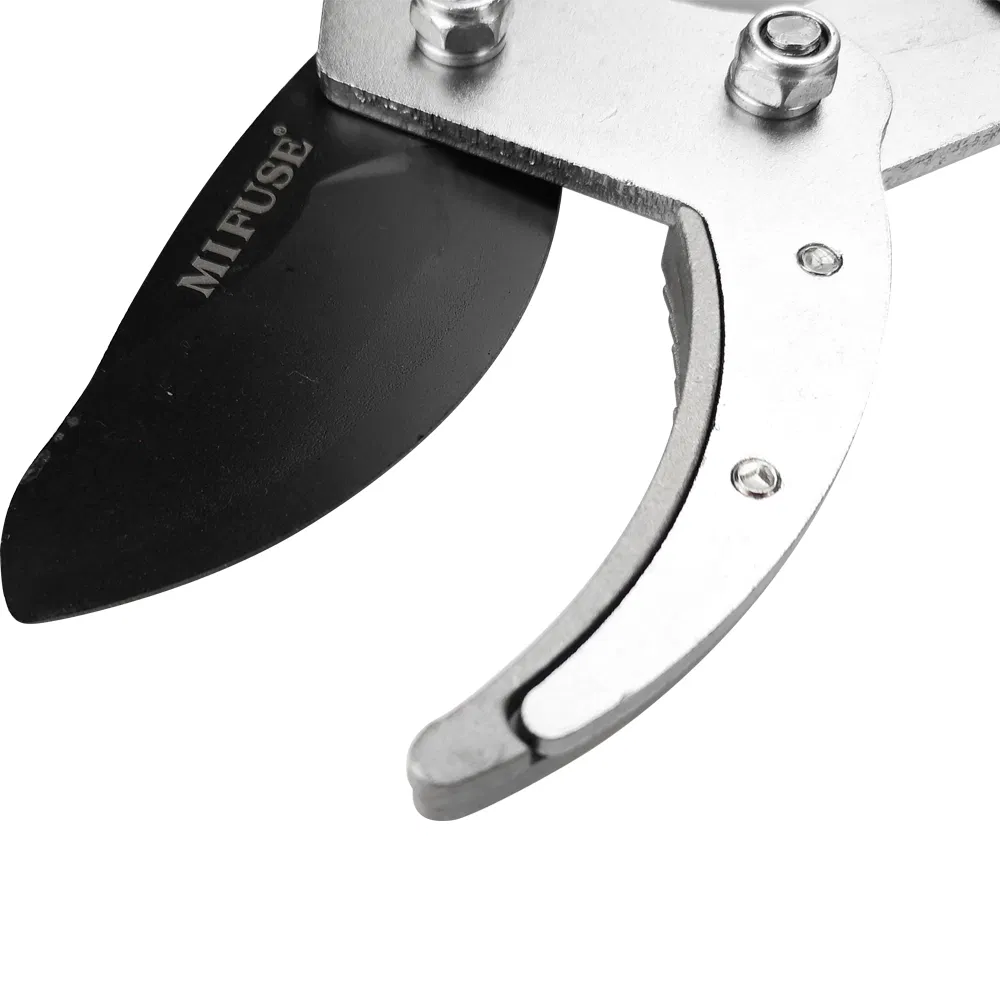 Bypass Telescopic Lopper