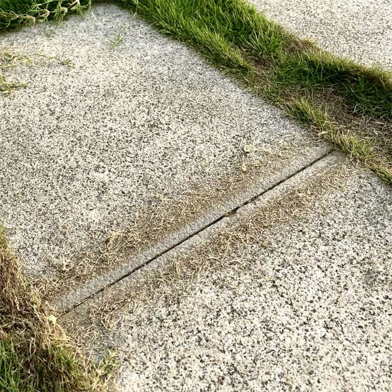 Spare Wire Brush Head for Gap Cleaner Brush Tool