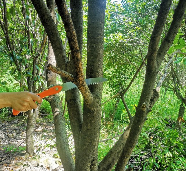 Garden Pruning Saw 10 Inch Foldable Folding Saw Garden Hand Tool Held Tree Pruner Branch Folding Garden Saw