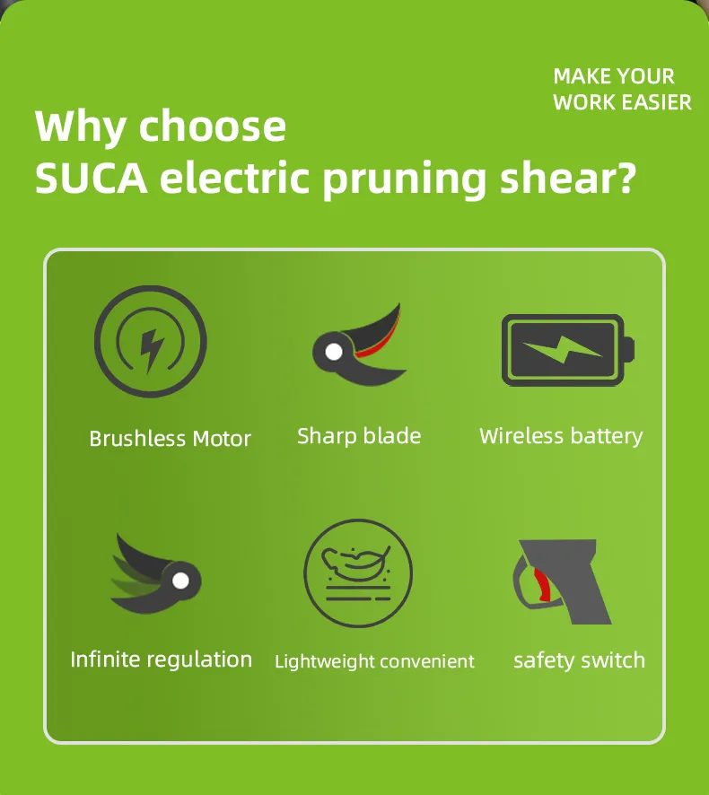 Pruning Shears Display 2