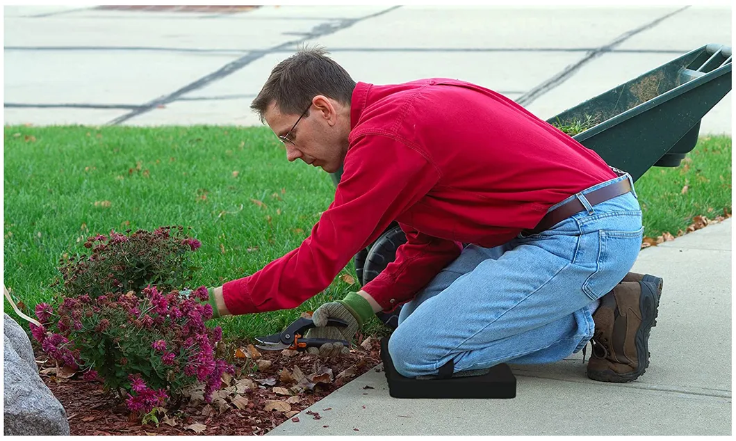 Detailed Application