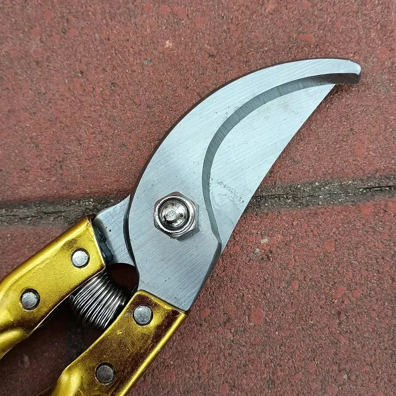 Professional Pruning Shears Gallery 4