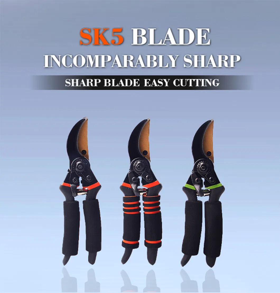 Pruning Shears Detail 1