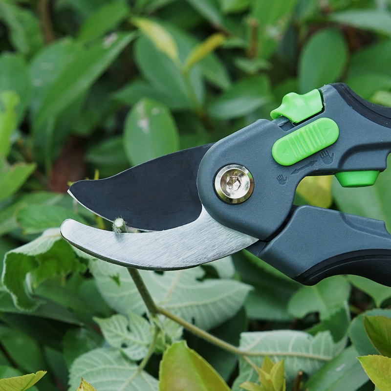 Premium Sk5 Blade Gardening Shears for Fruit Trees Pruning