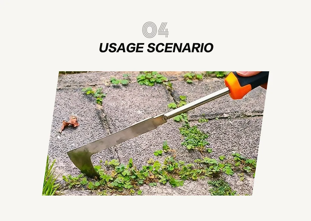 Crack Weeder Detail 1