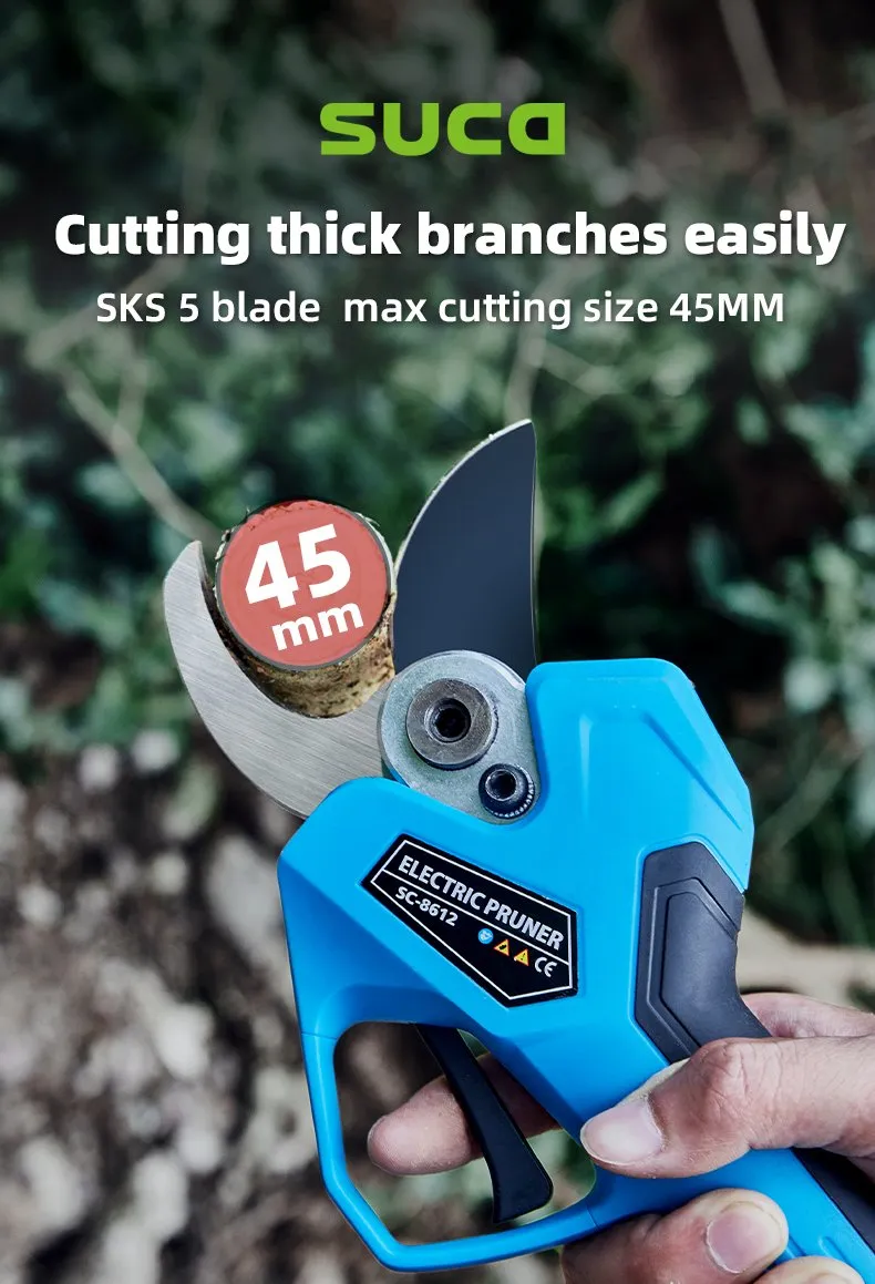 Pruning Shears Display 6