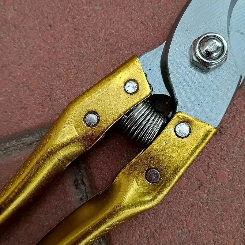Professional Pruning Shears Gallery 5