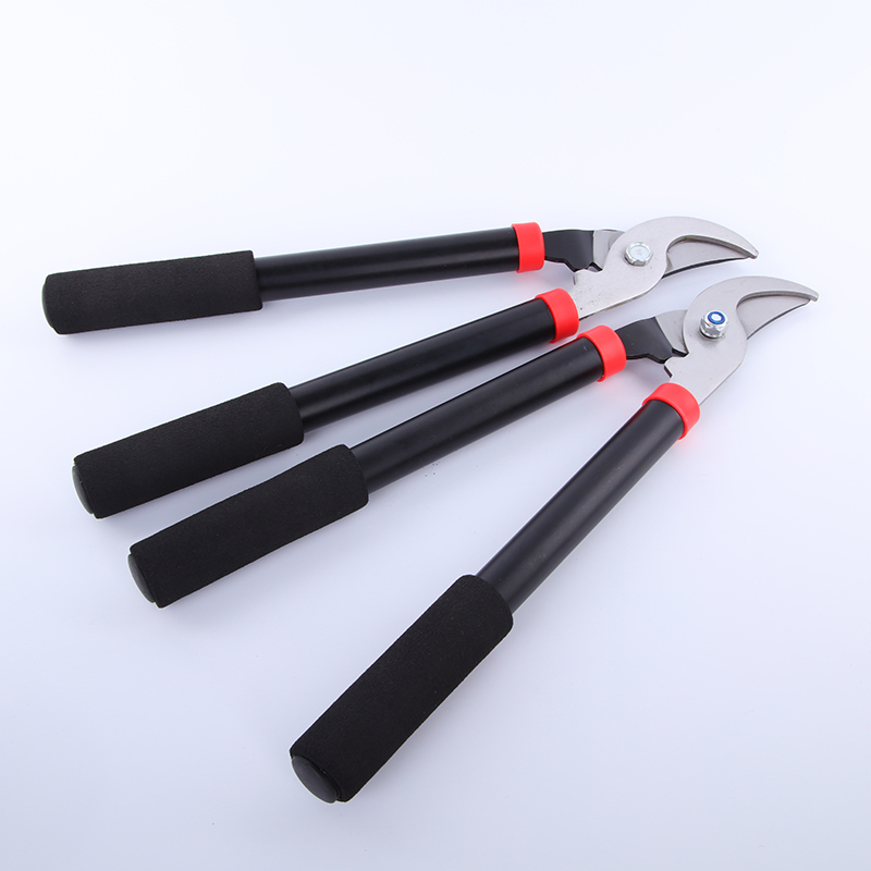 Long Handled Bypass Lopper for Tree Pruning