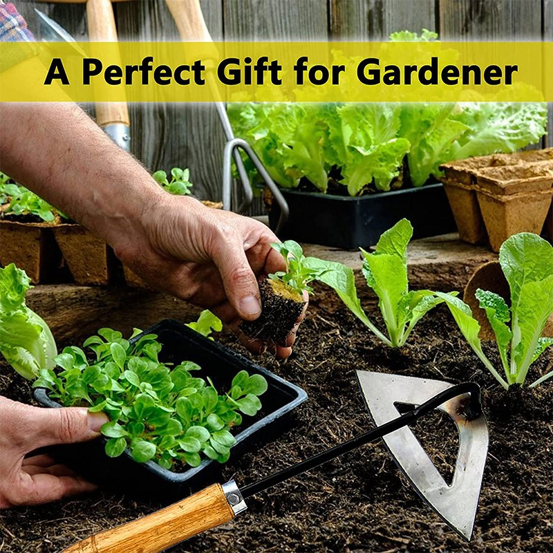 Top Quality All-Steel Manganese Steel Landscaping Weeding Hand-Hardened Rake Forged Gardening Hand-Held Small Hollow Hoe