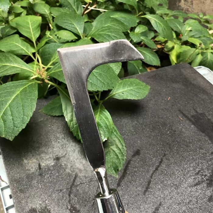 Light Weight Manual Crack Weeder with Beech Handle Lawn Yard Gardening Tool