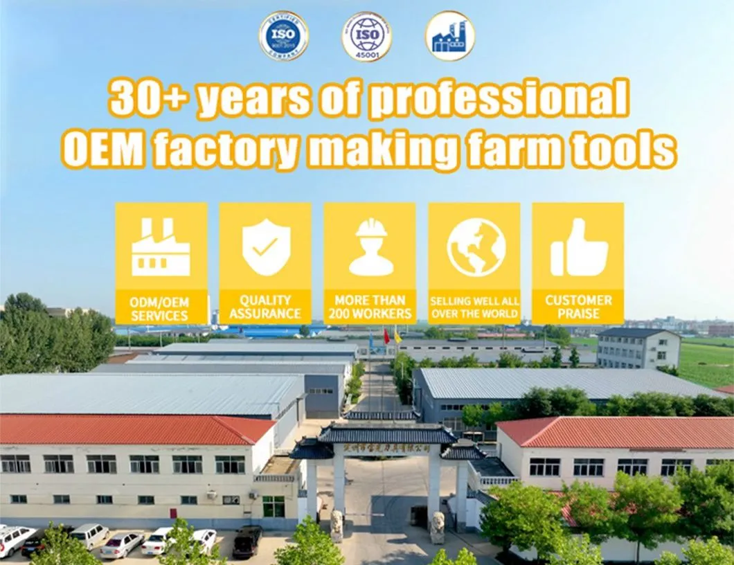 Garden Hoe Hand Tools