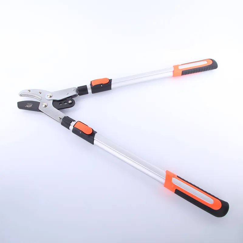 Long Handled Bypass Lopper for Tree Pruning