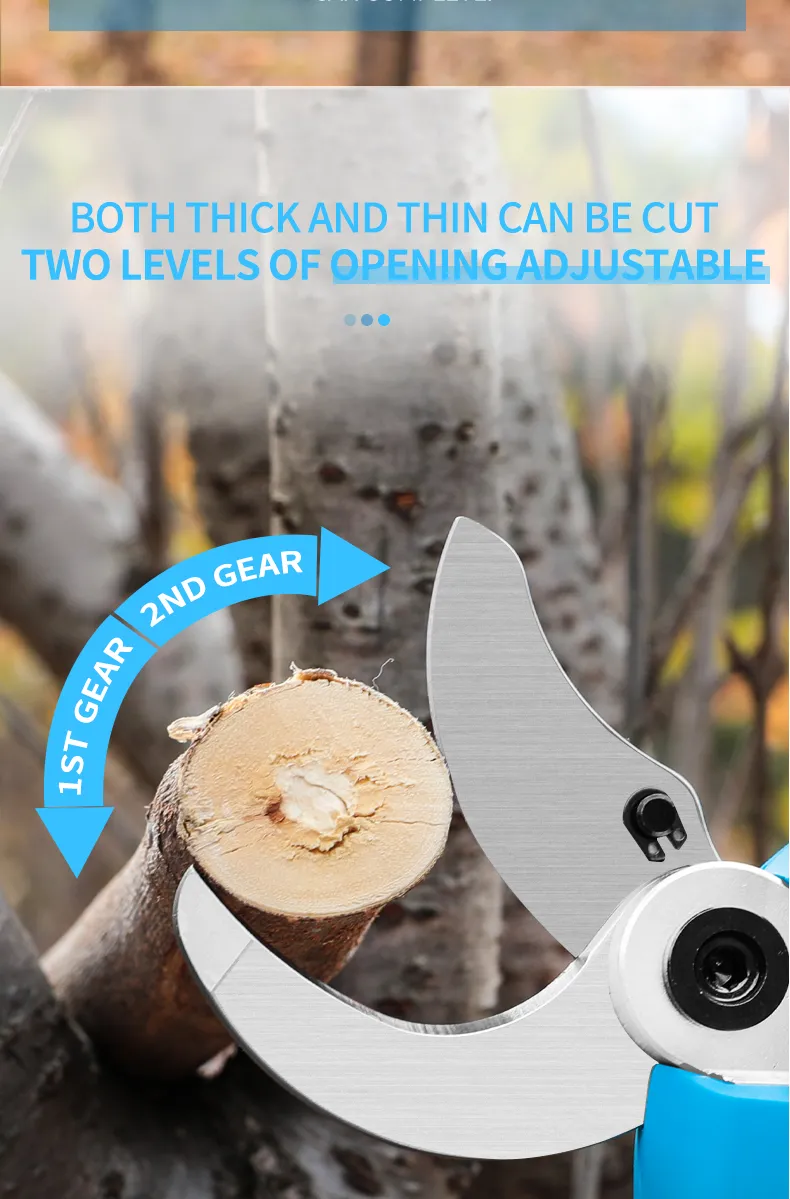 Pruning Shears Display 10