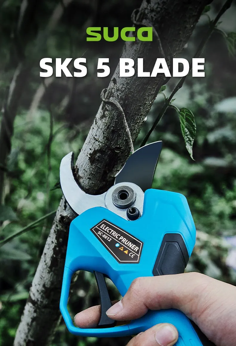 Pruning Shears Display 11