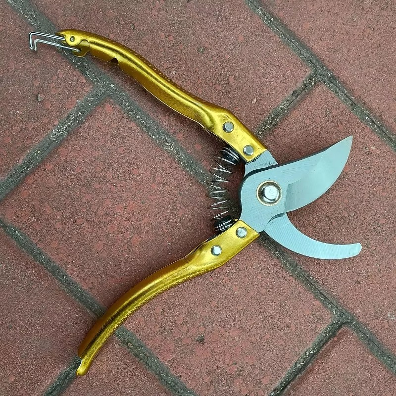 Professional Pruning Shears Garden Tools for Pruning Flower Fruit Tree