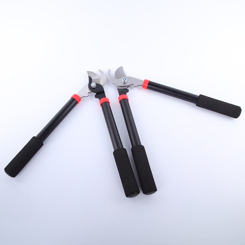 Long Handled Bypass Lopper for Tree Pruning