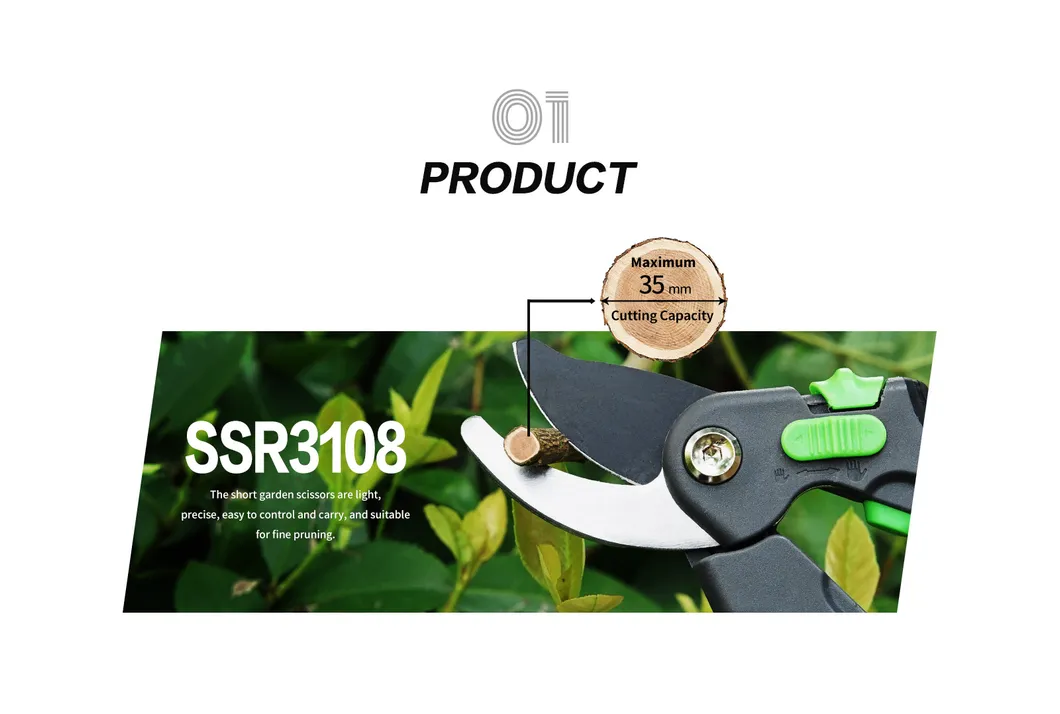 Pruning Shears Display