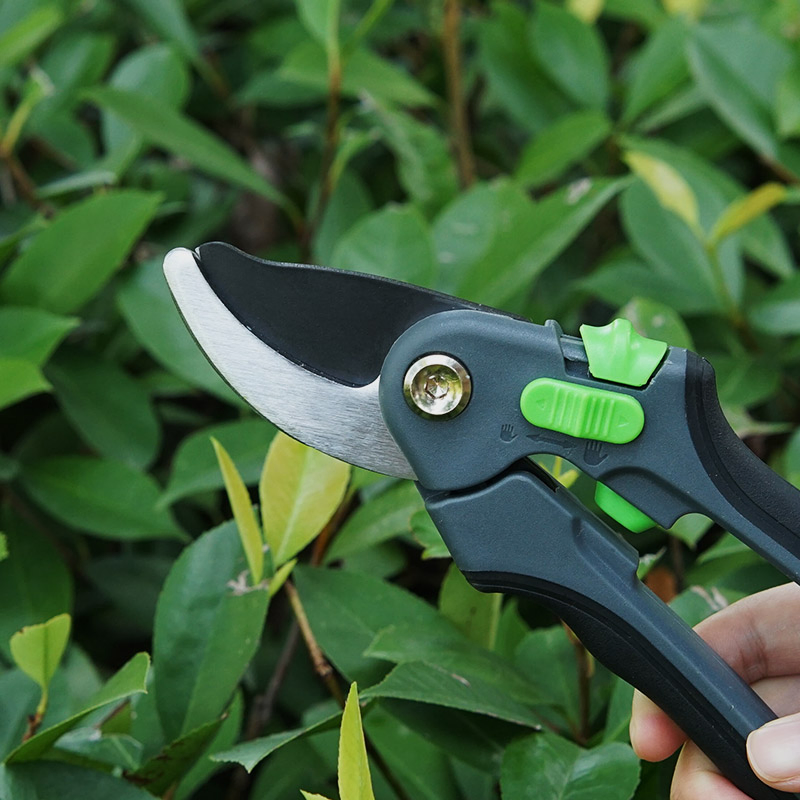 Premium Sk5 Blade Gardening Shears for Fruit Trees Pruning