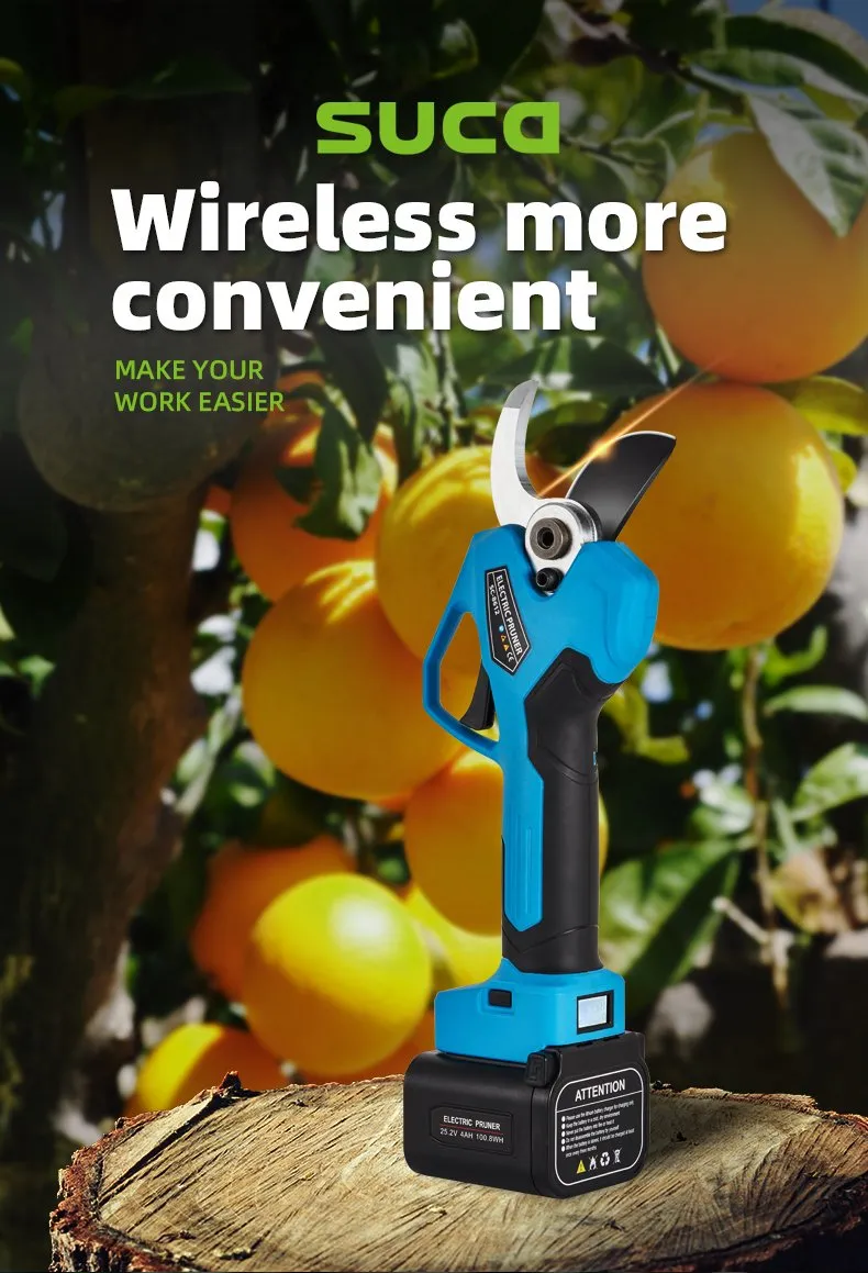 Pruning Shears Display 5