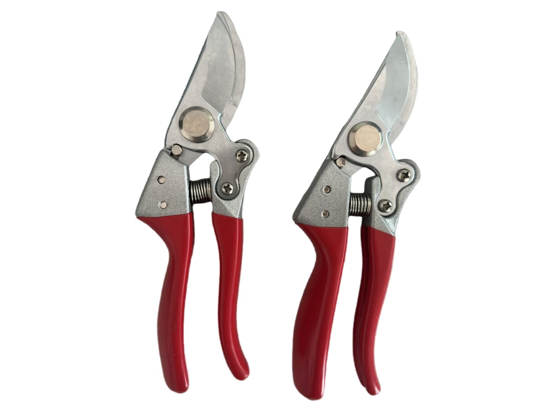 Pruning Shears Display 3