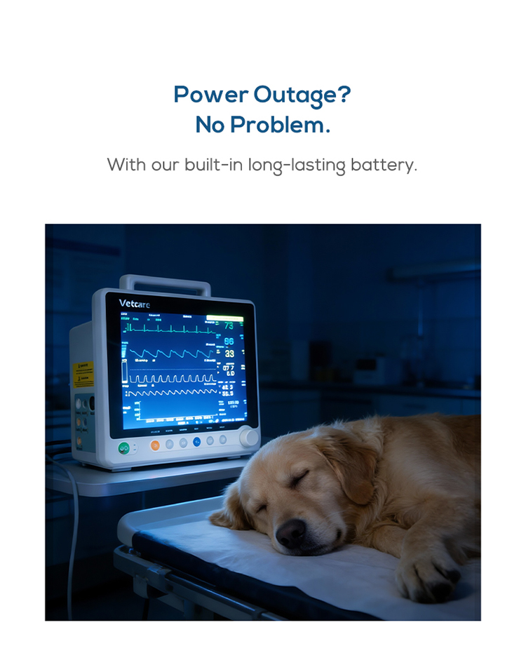 High Quality Portable Animal Use Vet Multi-parameter Patient Monitor Etco2 Veterinary Monitor