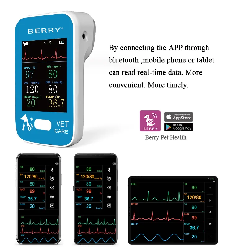 APP Interface