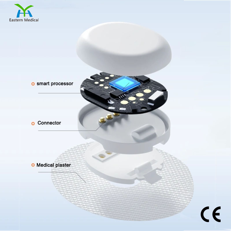Continuous Glucose Monitoring Blood Glucose Monitor Cgm