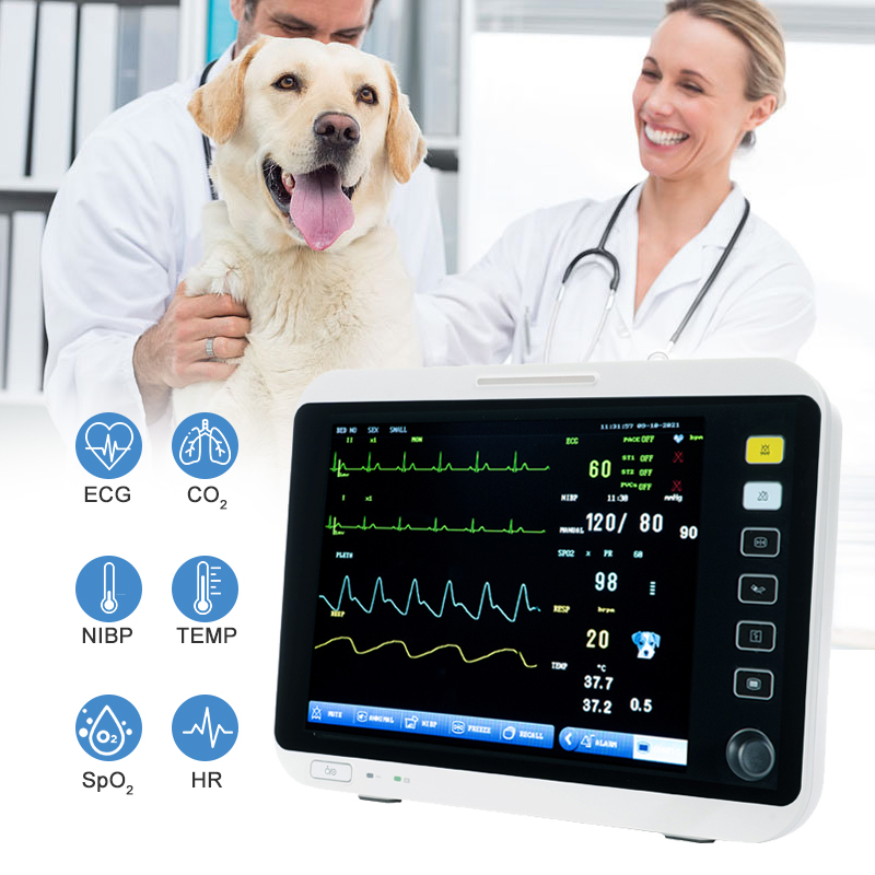 High Accuracy Mobile Digital Vet Care Monitor Multi-Parameter Veterinary Blood Pressure Monitor