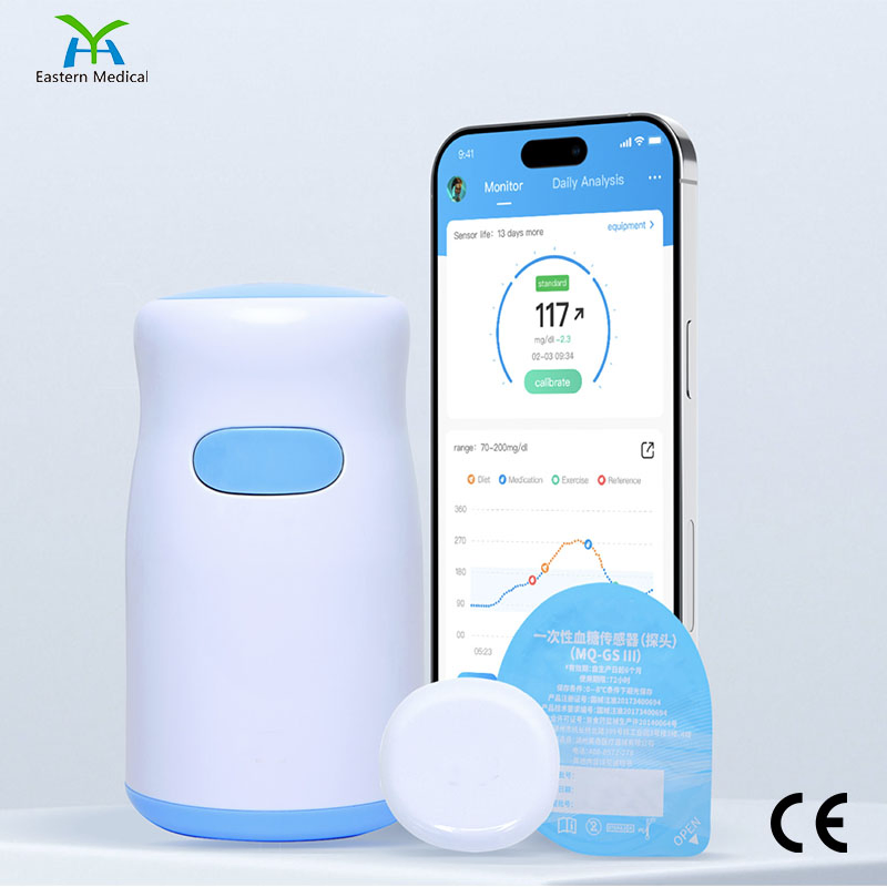 Continuous Glucose Monitoring Blood Glucose Monitor Cgm
