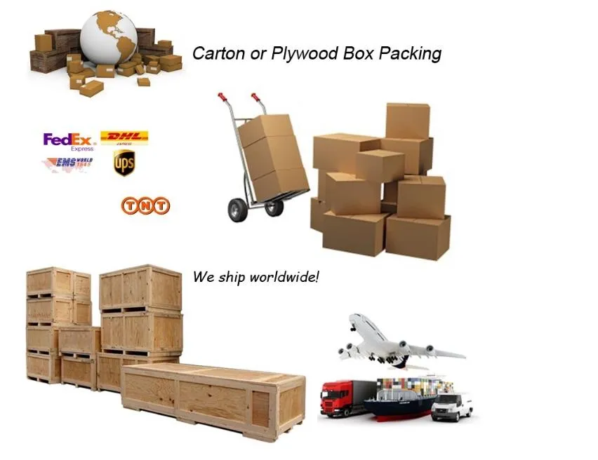 Shipping options