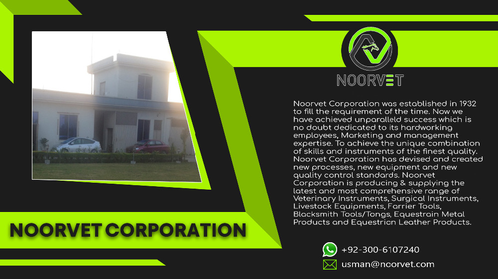 Company Overview