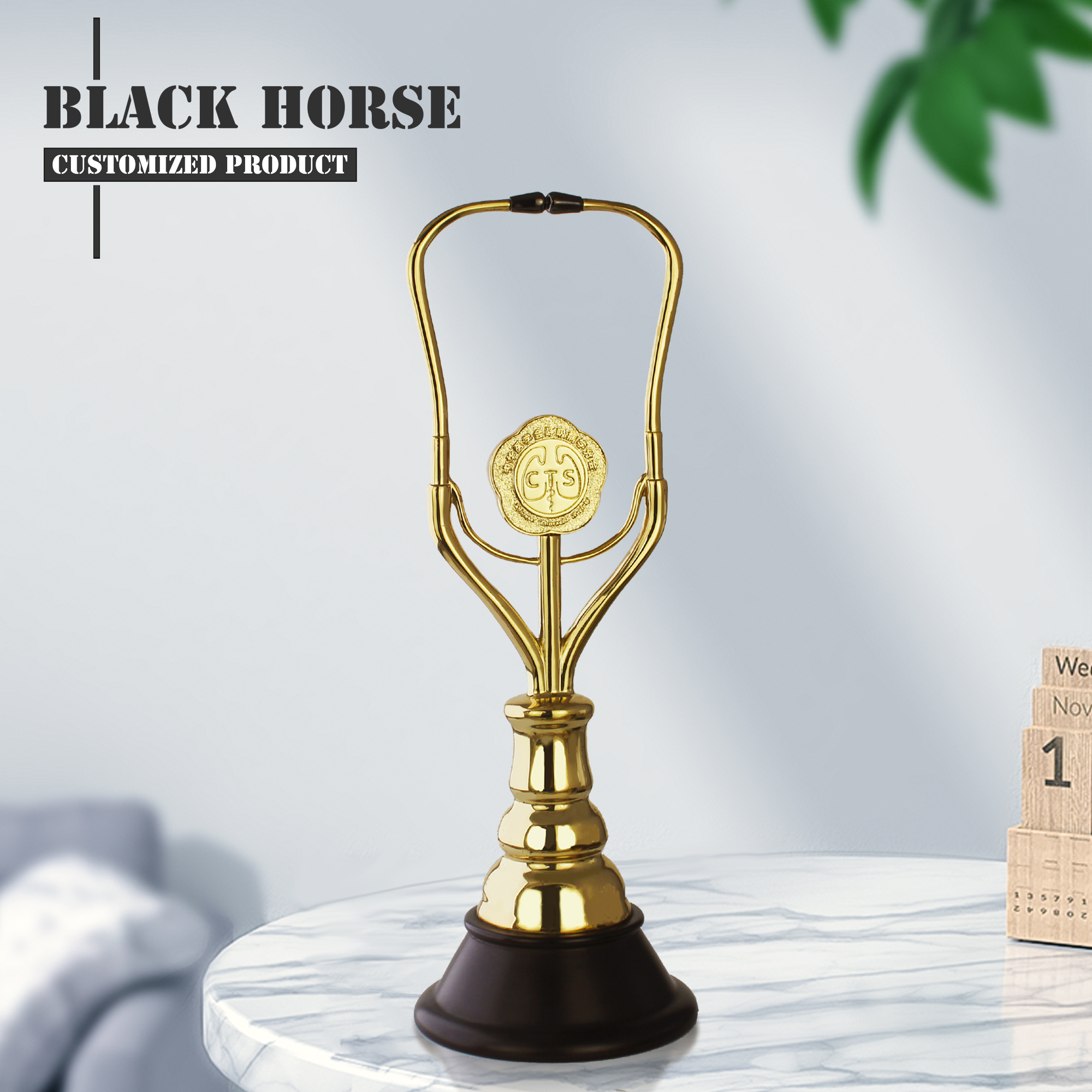 Product Showcase 1