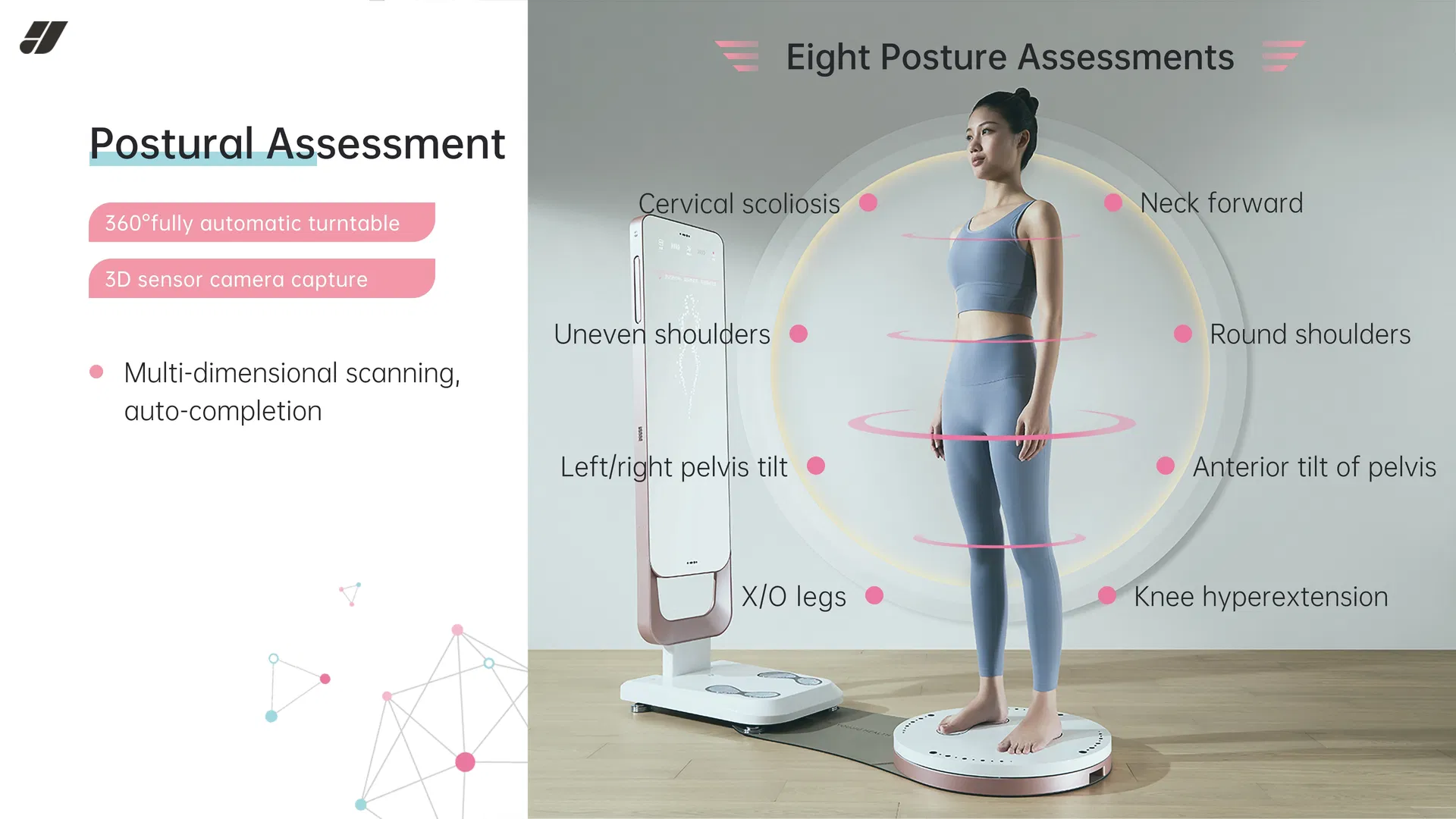 Segmental Muscle Analysis