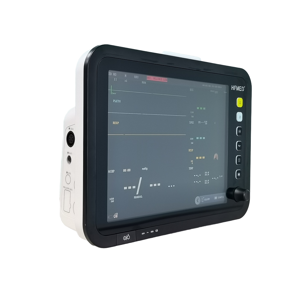 12 Inch Veterinary Monitor ICU CCU Ambulance Multi-parameter Vital Signs Monitor Price
