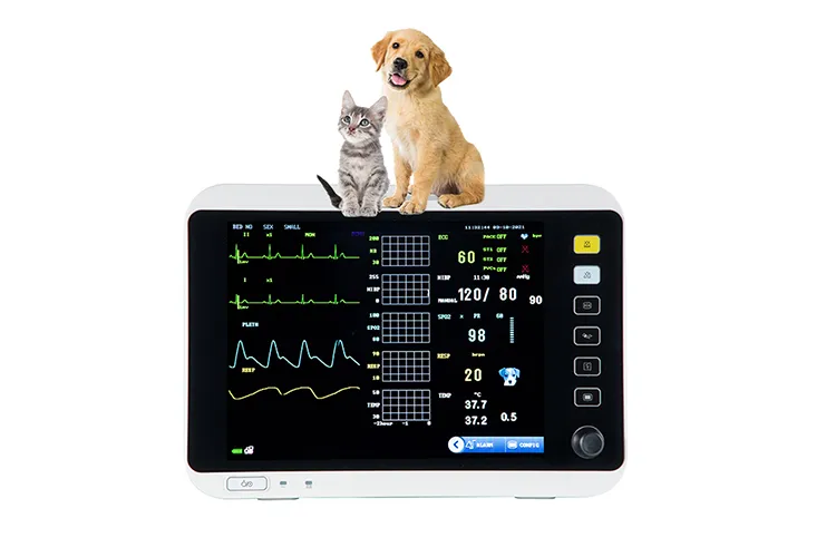 Veterinary Monitor Display