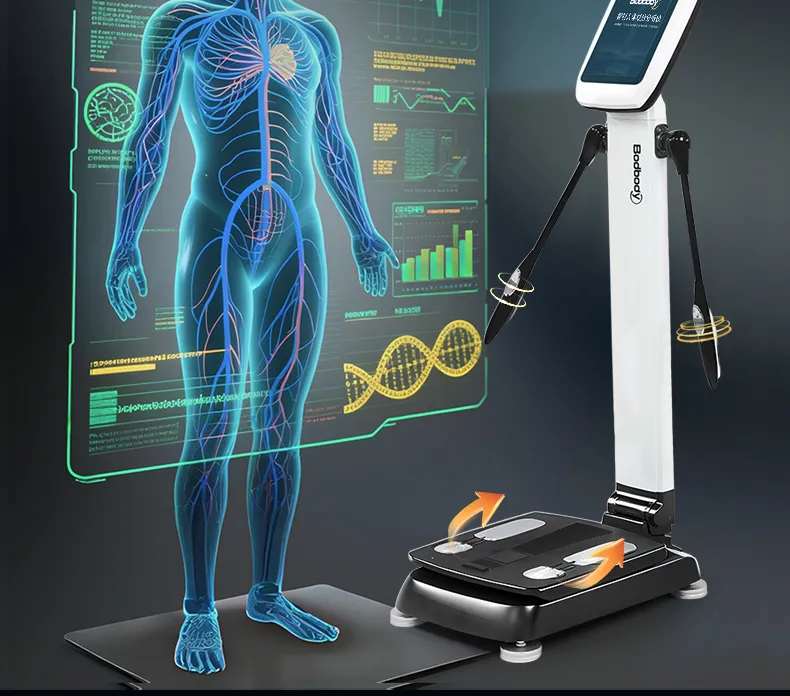 Body Composition Display
